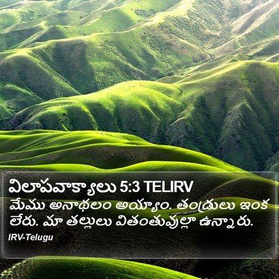 విలాపవాక్యాలు 5:3 TELIRV Bible Verse Image