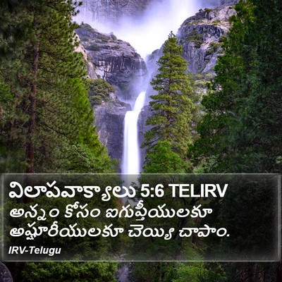 విలాపవాక్యాలు 5:6 TELIRV Bible Verse Image