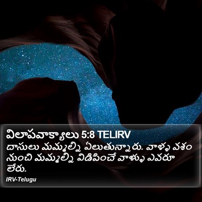 విలాపవాక్యాలు 5:8 TELIRV Bible Verse Image