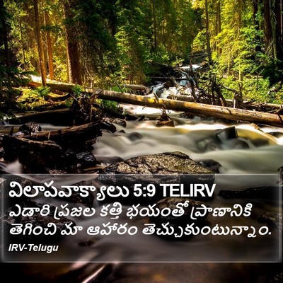 విలాపవాక్యాలు 5:9 TELIRV Bible Verse Image