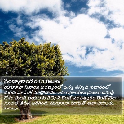 సంఖ్యాకాండం 1:1 TELIRV Bible Verse Image