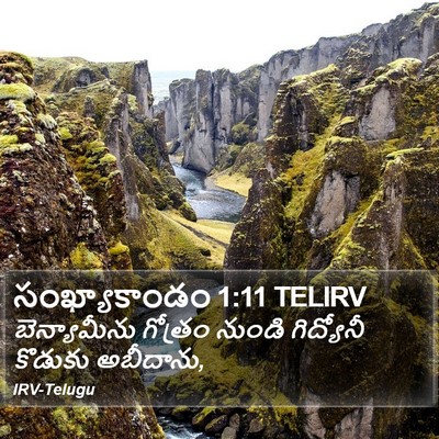 సంఖ్యాకాండం 1:11 TELIRV Bible Verse Image