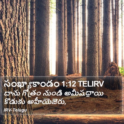 సంఖ్యాకాండం 1:12 TELIRV Bible Verse Image