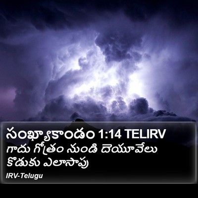 సంఖ్యాకాండం 1:14 TELIRV Bible Verse Image