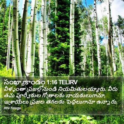 సంఖ్యాకాండం 1:16 TELIRV Bible Verse Image