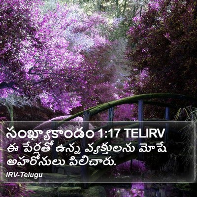 సంఖ్యాకాండం 1:17 TELIRV Bible Verse Image