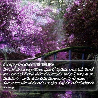సంఖ్యాకాండం 1:18 TELIRV Bible Verse Image