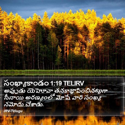 సంఖ్యాకాండం 1:19 TELIRV Bible Verse Image