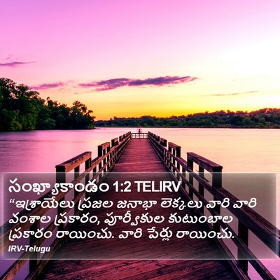 సంఖ్యాకాండం 1:2 TELIRV Bible Verse Image