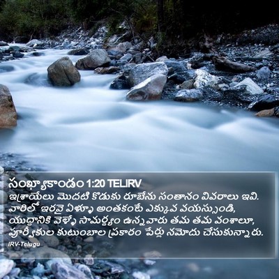 సంఖ్యాకాండం 1:20 TELIRV Bible Verse Image