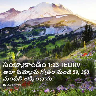 సంఖ్యాకాండం 1:23 TELIRV Bible Verse Image