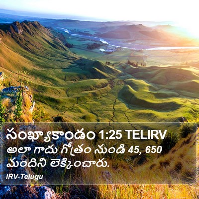 సంఖ్యాకాండం 1:25 TELIRV Bible Verse Image