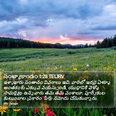 సంఖ్యాకాండం 1:28 TELIRV Bible Verse Image