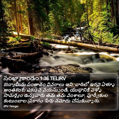 సంఖ్యాకాండం 1:36 TELIRV Bible Verse Image