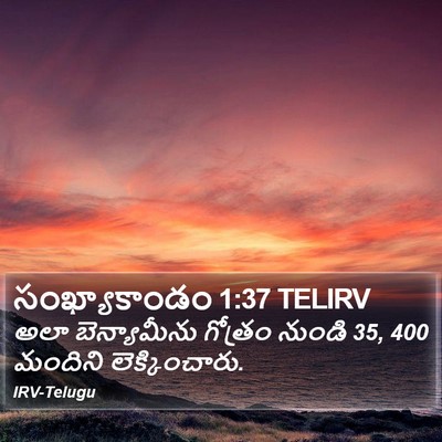 సంఖ్యాకాండం 1:37 TELIRV Bible Verse Image