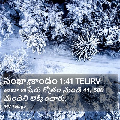 సంఖ్యాకాండం 1:41 TELIRV Bible Verse Image