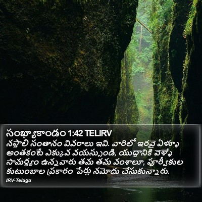 సంఖ్యాకాండం 1:42 TELIRV Bible Verse Image