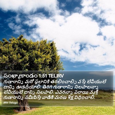 సంఖ్యాకాండం 1:51 TELIRV Bible Verse Image