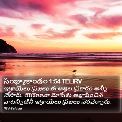 సంఖ్యాకాండం 1:54 TELIRV Bible Verse Image