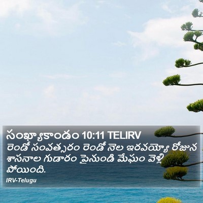 సంఖ్యాకాండం 10:11 TELIRV Bible Verse Image