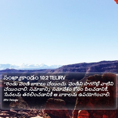 సంఖ్యాకాండం 10:2 TELIRV Bible Verse Image