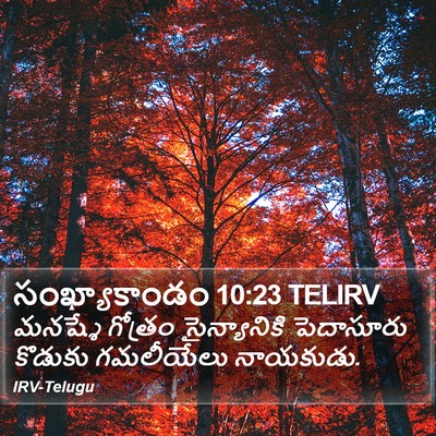 సంఖ్యాకాండం 10:23 TELIRV Bible Verse Image