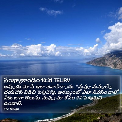 సంఖ్యాకాండం 10:31 TELIRV Bible Verse Image