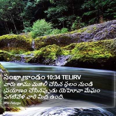 సంఖ్యాకాండం 10:34 TELIRV Bible Verse Image