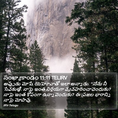సంఖ్యాకాండం 11:11 TELIRV Bible Verse Image