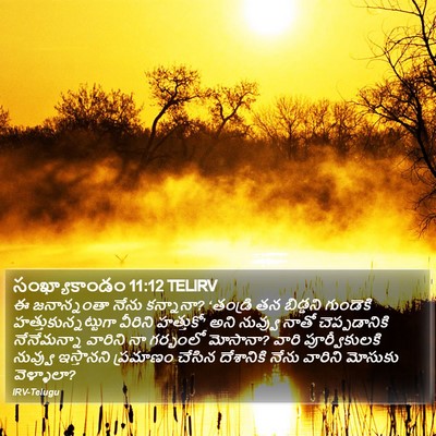 సంఖ్యాకాండం 11:12 TELIRV Bible Verse Image
