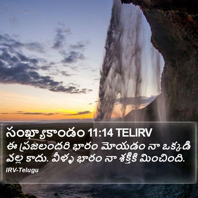 సంఖ్యాకాండం 11:14 TELIRV Bible Verse Image