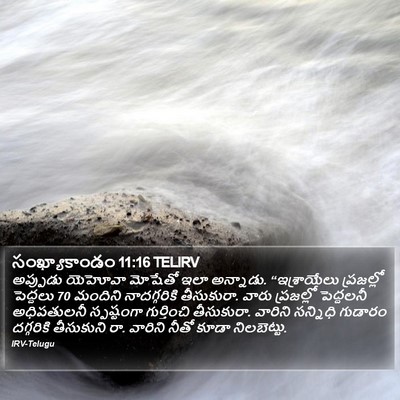 సంఖ్యాకాండం 11:16 TELIRV Bible Verse Image