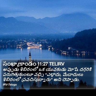 సంఖ్యాకాండం 11:27 TELIRV Bible Verse Image