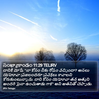 సంఖ్యాకాండం 11:29 TELIRV Bible Verse Image
