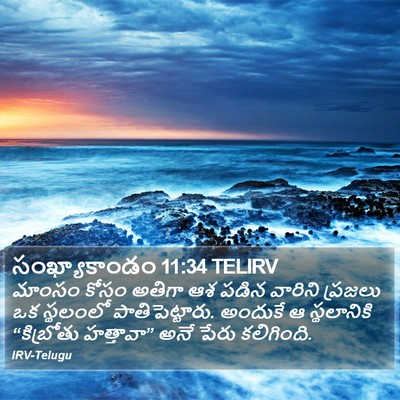 సంఖ్యాకాండం 11:34 TELIRV Bible Verse Image