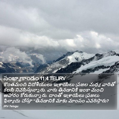 సంఖ్యాకాండం 11:4 TELIRV Bible Verse Image