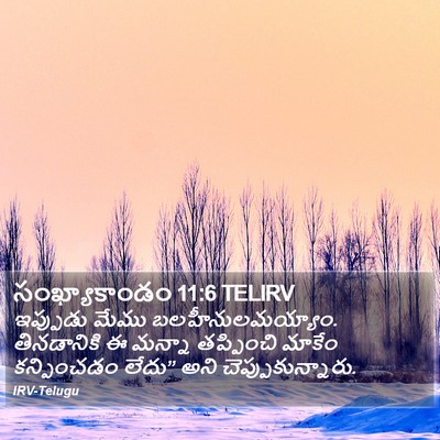 సంఖ్యాకాండం 11:6 TELIRV Bible Verse Image