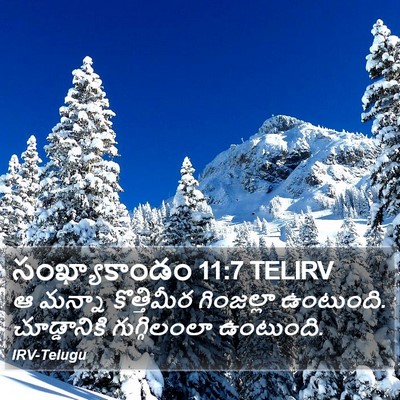 సంఖ్యాకాండం 11:7 TELIRV Bible Verse Image