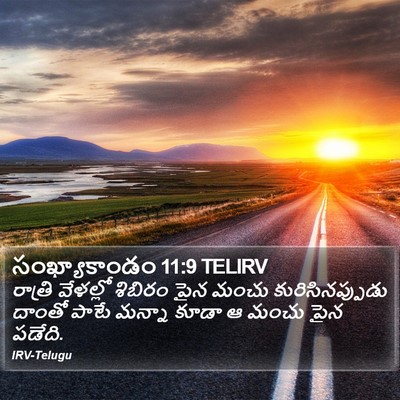 సంఖ్యాకాండం 11:9 TELIRV Bible Verse Image