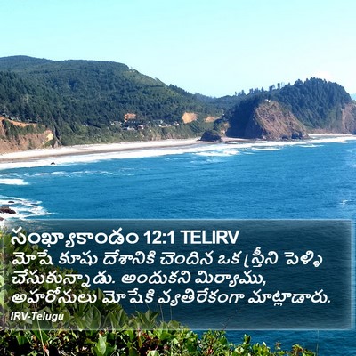 సంఖ్యాకాండం 12:1 TELIRV Bible Verse Image