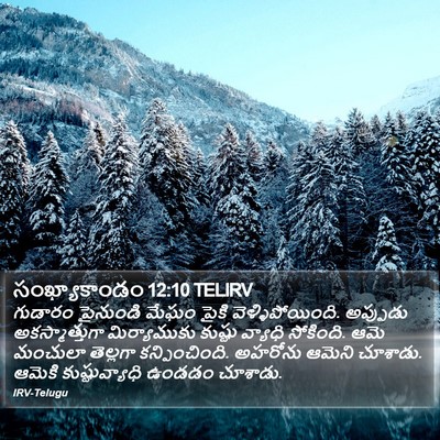 సంఖ్యాకాండం 12:10 TELIRV Bible Verse Image