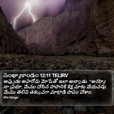 సంఖ్యాకాండం 12:11 TELIRV Bible Verse Image