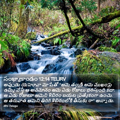సంఖ్యాకాండం 12:14 TELIRV Bible Verse Image