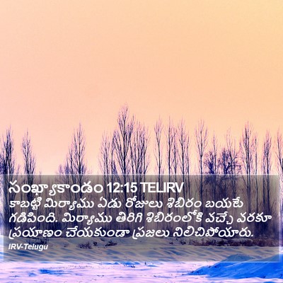 సంఖ్యాకాండం 12:15 TELIRV Bible Verse Image