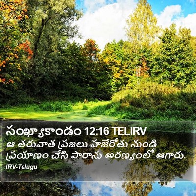 సంఖ్యాకాండం 12:16 TELIRV Bible Verse Image