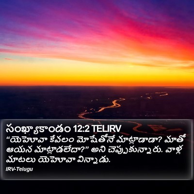 సంఖ్యాకాండం 12:2 TELIRV Bible Verse Image