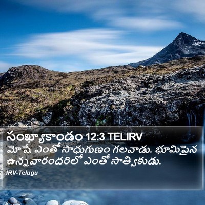 సంఖ్యాకాండం 12:3 TELIRV Bible Verse Image