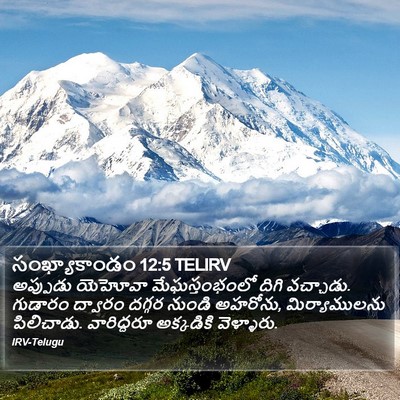 సంఖ్యాకాండం 12:5 TELIRV Bible Verse Image