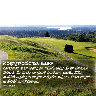 సంఖ్యాకాండం 12:6 TELIRV Bible Verse Image