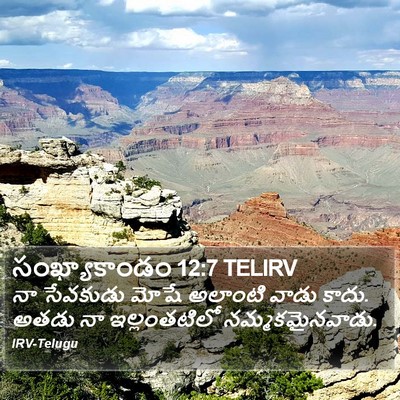 సంఖ్యాకాండం 12:7 TELIRV Bible Verse Image